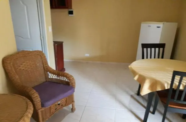 Next Nivel Punta Cana apartment living
